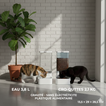 Distributeur 2-en-1 à gravité eau + croquettes 4L (2,1 kg)