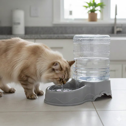 distributeurs eau + croquettes